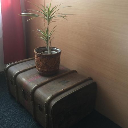 Hotel Dvorak Chrast エクステリア 写真