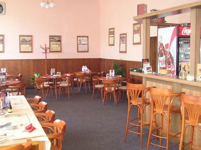 Hotel Dvorak Chrast エクステリア 写真