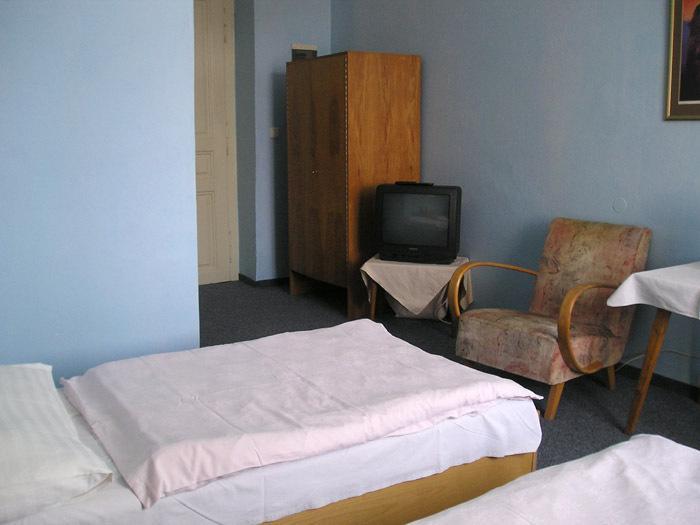 Hotel Dvorak Chrast エクステリア 写真