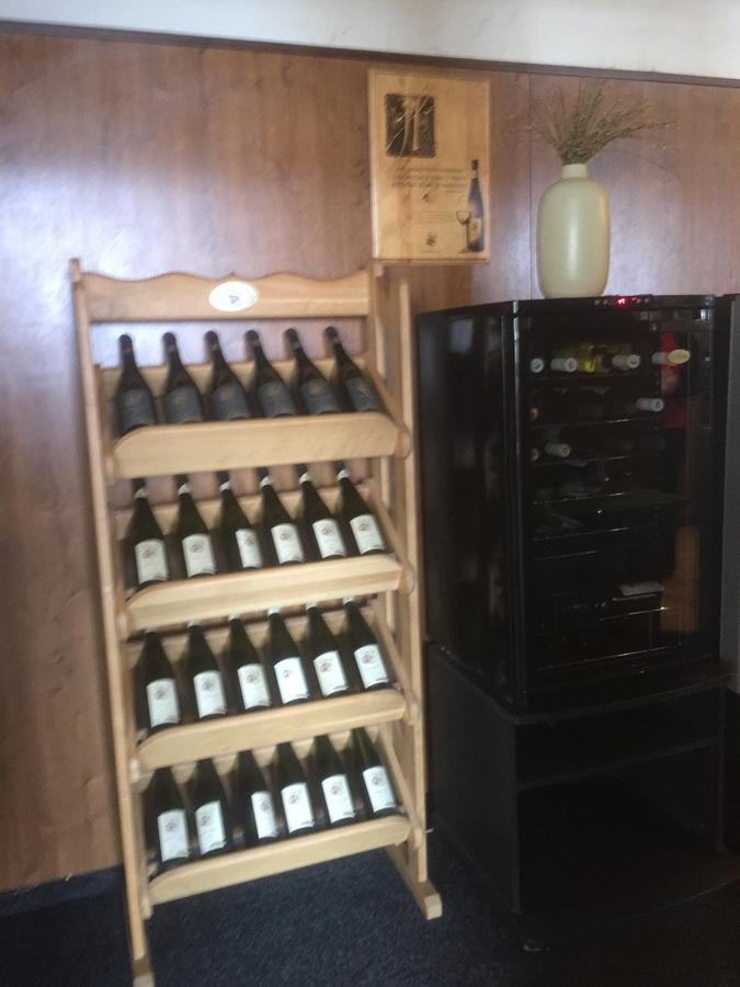 Hotel Dvorak Chrast エクステリア 写真