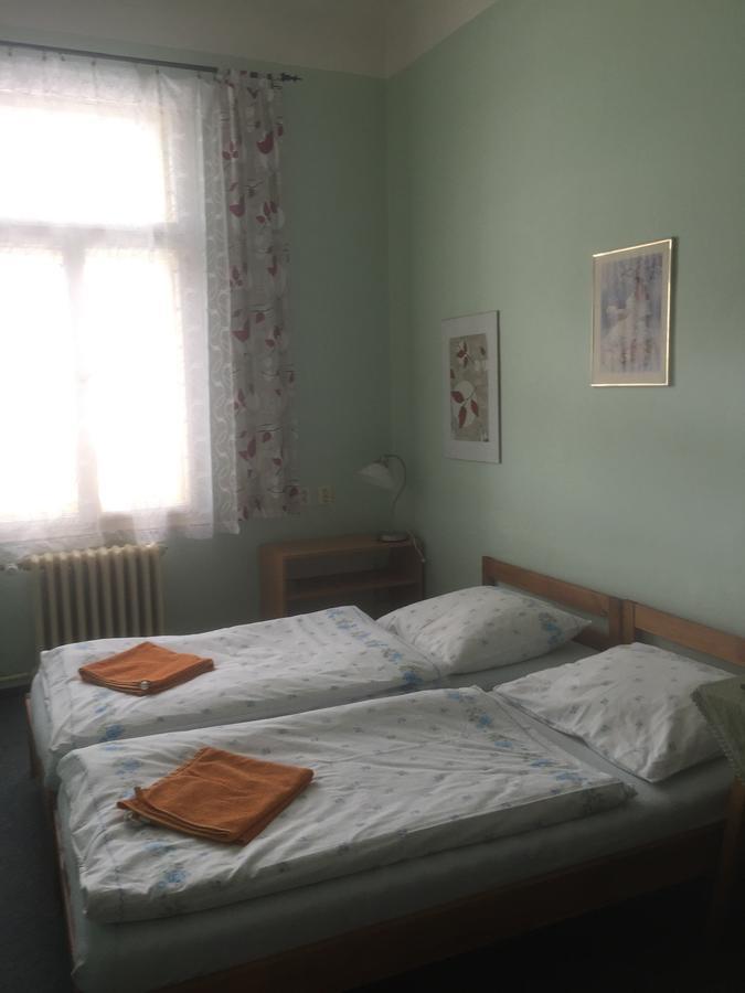 Hotel Dvorak Chrast エクステリア 写真