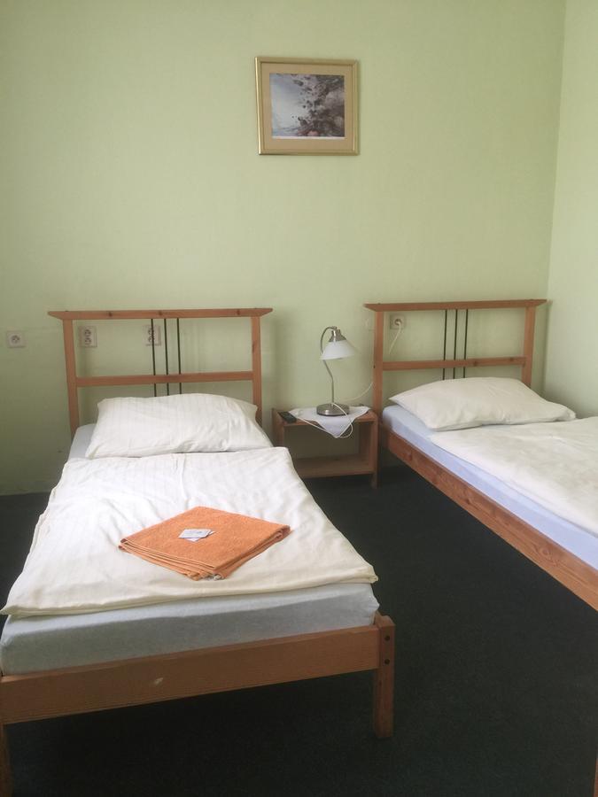 Hotel Dvorak Chrast エクステリア 写真