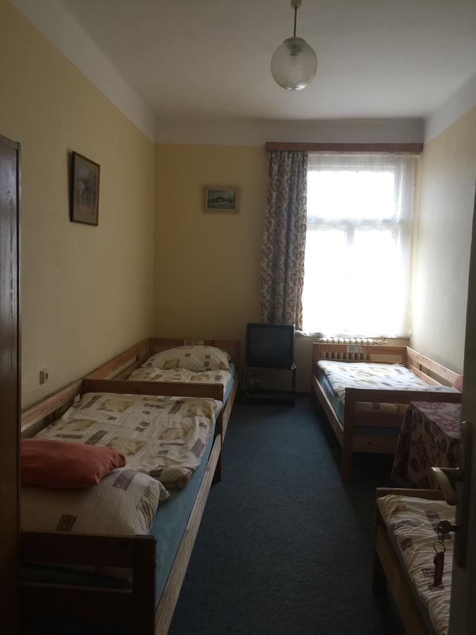 Hotel Dvorak Chrast エクステリア 写真