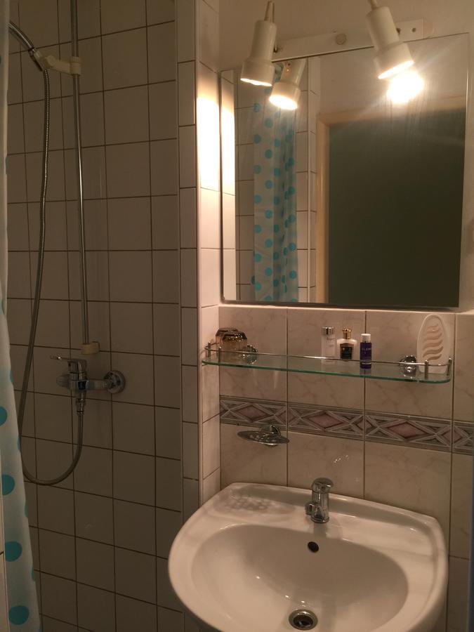 Hotel Dvorak Chrast エクステリア 写真